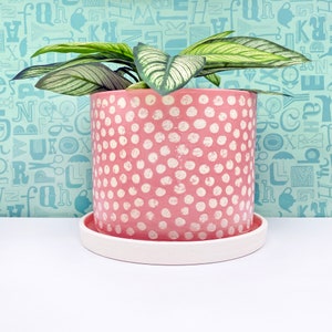 Pink Dotted Ceramic Planter - large