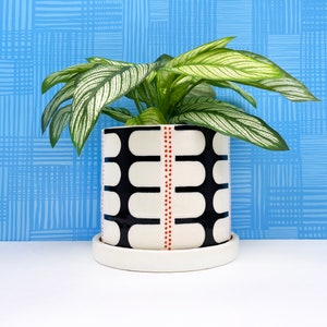 May include: A white ceramic planter with a black and red geometric pattern. The planter is filled with a green plant with white stripes on the leaves.