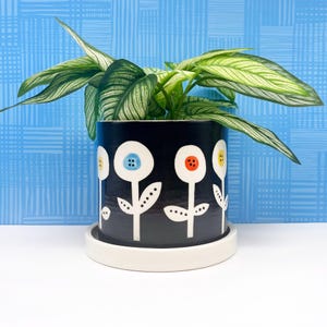 May include: A black ceramic flower pot with a white base, featuring a floral design with white stems and colorful button-like centers. The pot holds a green plant with long, striped leaves. The background is a blue pattern.