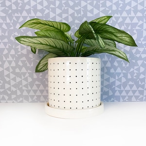 Pin Dot Ceramic Planter-medium