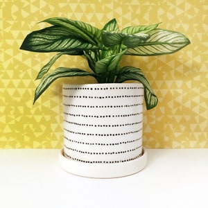 Dotted Stripe Ceramic Planter-medium
