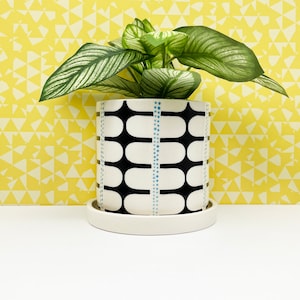 May include: A white ceramic planter with a black and white geometric pattern. The planter has a blue dotted line down the center. A green plant is growing out of the planter.