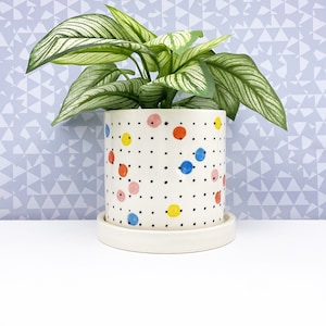 May include: A white ceramic planter with a colorful polka dot design, including red, blue, yellow, and pink dots, and black dots. The planter holds a green plant with white striped leaves. The planter sits on a matching saucer.