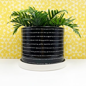 May include: A black ceramic planter with white dotted stripes, holding a green plant. The planter sits on a white saucer, with a yellow geometric patterned background.