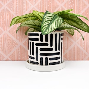 May include: A white ceramic plant pot with a black geometric design, containing a green plant with striped leaves. The pot sits on a matching white saucer. The background features pink patterned wallpaper.