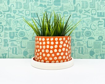 May include: A potted plant with green leaves in a white and orange polka dot planter. The planter has a white saucer.