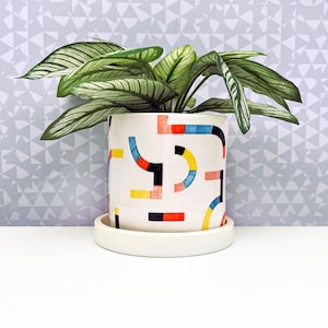 May include: A white ceramic plant pot with a colourful geometric design, holding a green plant with striped leaves. The pot sits on a matching saucer. The background features a grey and white geometric pattern.
