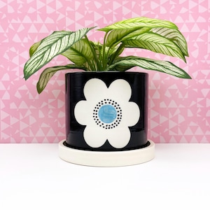 SALE: Black with Turquoise Dot Flower Ceramic Planter-medium with drainage tray