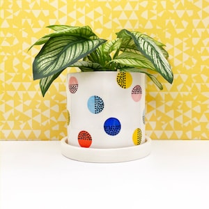 May include: A white ceramic planter with a geometric pattern of colorful circles in red, blue, yellow, pink, and black. The planter is filled with a green leafy plant.