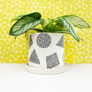 May include: A white ceramic planter with a geometric design of black dots in various shapes, holding a green plant with white-veined leaves. The planter sits on a matching saucer, with a yellow geometric patterned background.