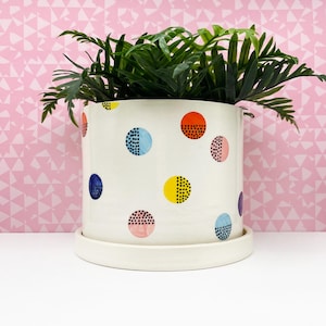May include: A white ceramic plant pot with a matching saucer, decorated with colorful polka dots. The dots are in shades of blue, yellow, orange, pink, and purple. The pot is filled with green leafy plants, creating a vibrant contrast against the white background.