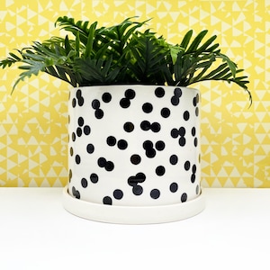 以下が含まれることがあります： 黒い水玉模様の白いセラミック植木鉢に、緑の葉の植物が入っています。鉢は、お揃いの白い受け皿の上に置かれています。背景は黄色の幾何学模様です。