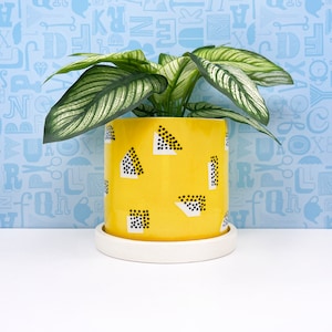 Yellow Dot Shadow Ceramic Planter-medium with drainage tray