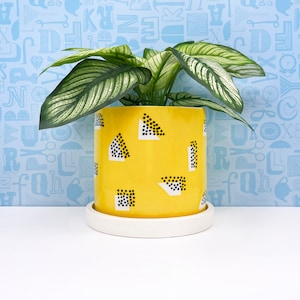 Yellow Dot Shadow Ceramic Planter-medium