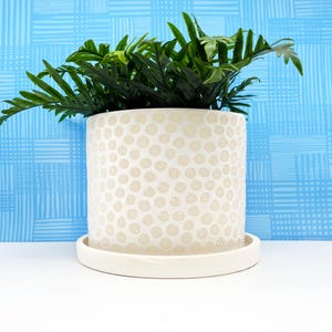 White Dotted Ceramic Planter - large