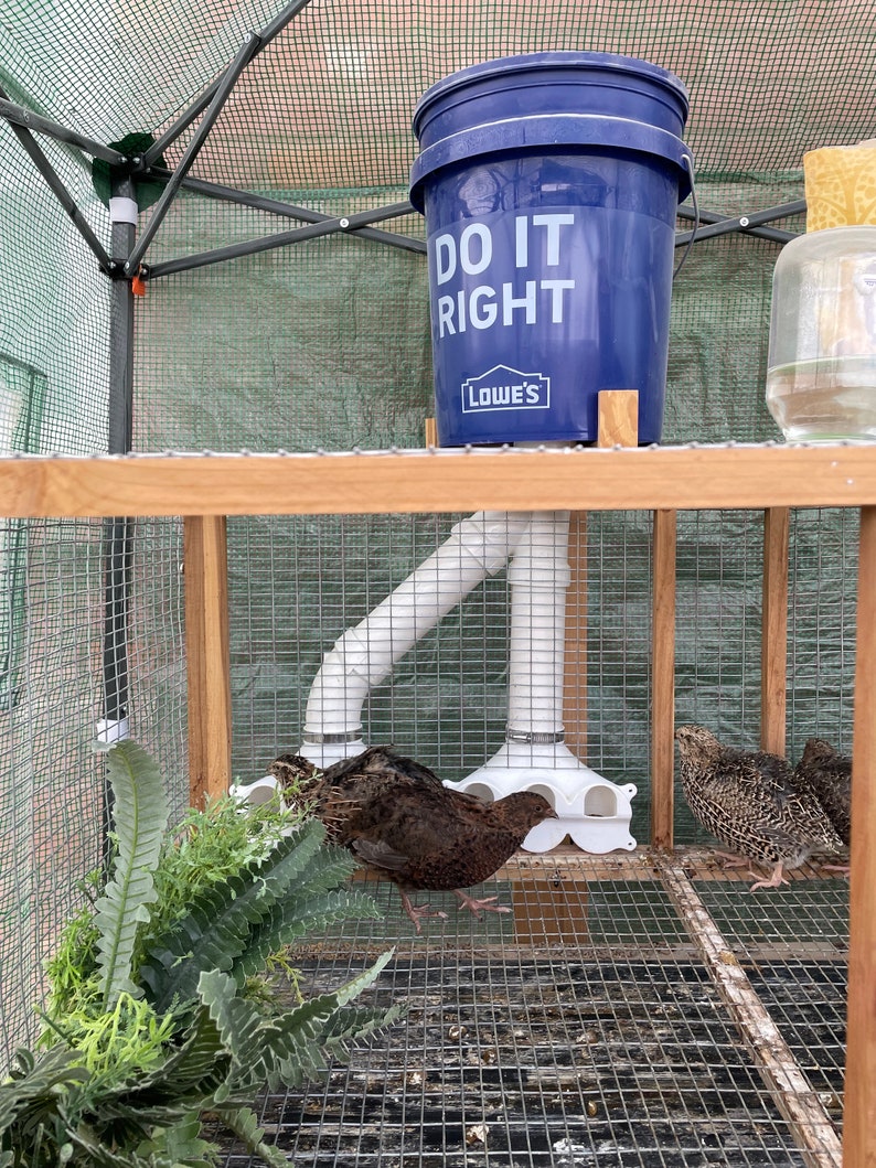 Quail Feeder Feedflow Distributor No Hassle and Low Waste Automatic