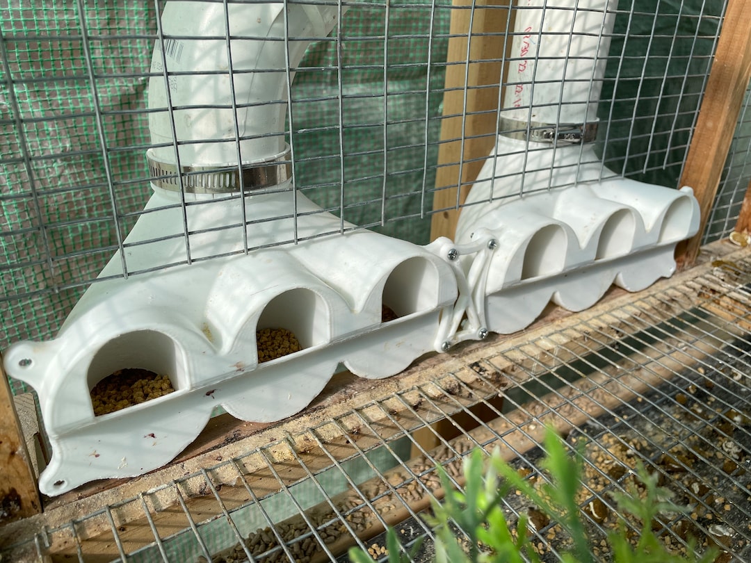 Quail Feeder Feedflow Distributor No Hassle and Low Waste Automatic