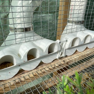 Quail Feeder - FeedFlow Distributor - No Hassle and Low Waste Automatic Quail Feeder Ports - FREE SHIPPING