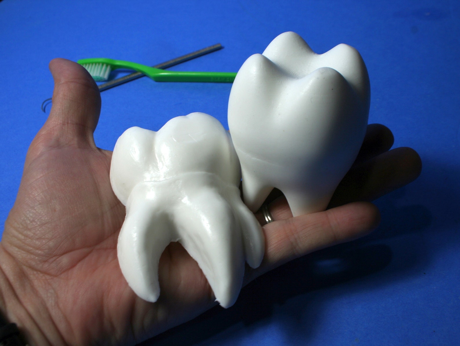 Tooth Soap Two Tooth Shaped Soaps Giant Molar Soaps Dentist or Etsy