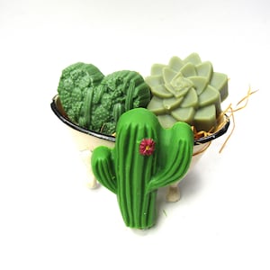 May include: Three green soap bars shaped like a cactus, a succulent, and a heart. The soaps are in a white enamel bathtub with a brown straw base.