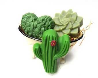 Southwestern Cactus Soap Set, Cold Process, Desert Decor