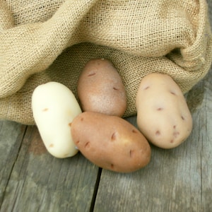 May include: Four potatoes, two brown and two white, are sitting on a burlap sack. The potatoes are arranged in a semi-circle.