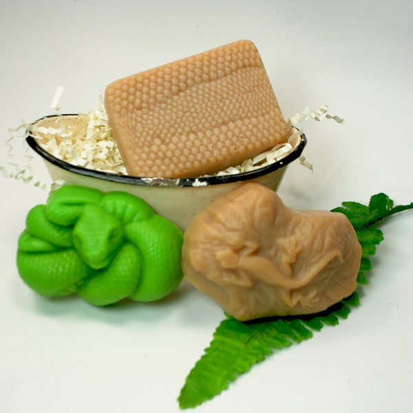 Gifts for Reptile Owner 60+ Gift Ideas for 2024