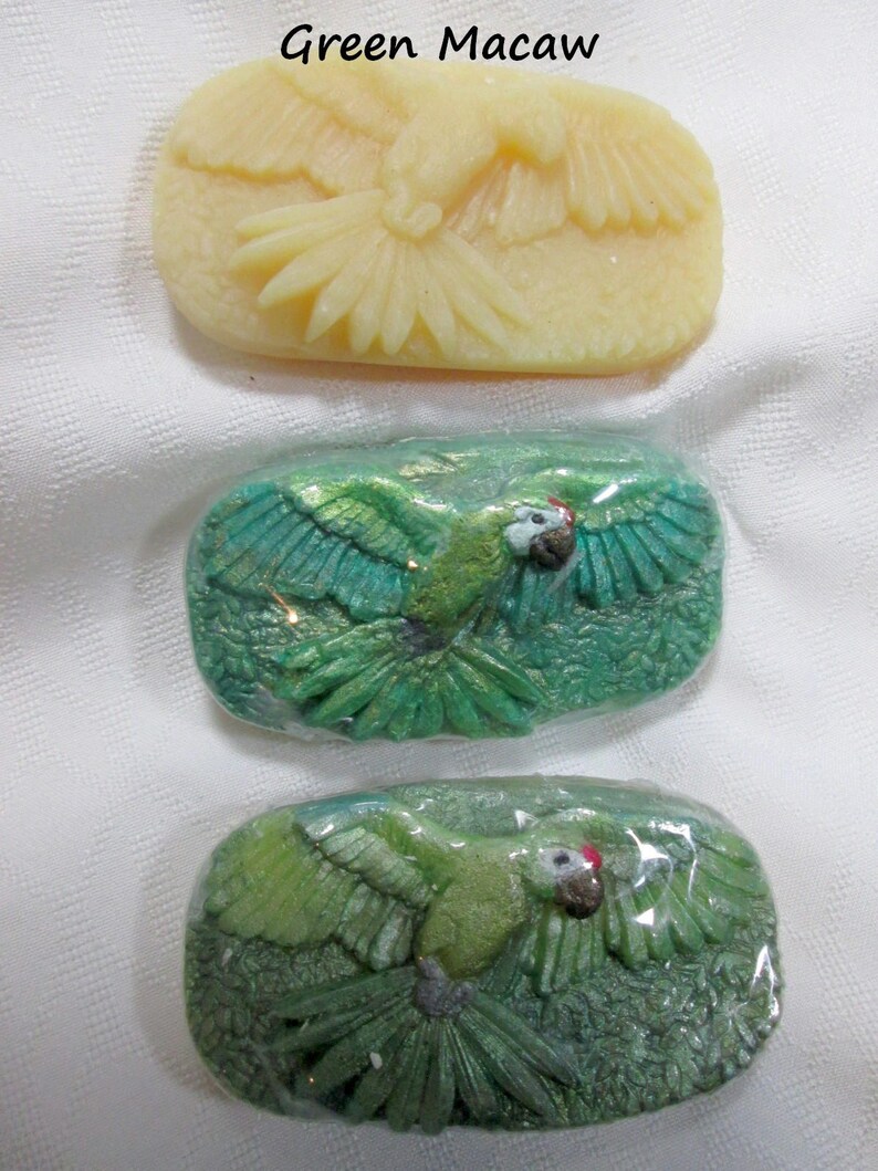 Parrot Soap soap for Humans Not Parrots African Grey Macaw Etsy