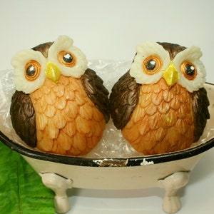 Owl Soap, Adorable Owls Soap with Hand Painted Details, Gift for Owl Lover, Owl Decor