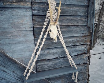 Ready to Ship Macrame Shelf with Roe Deer Skull / Goth Decor / Oddities Shelf / Pentagram / Witchy Decor