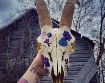 Goat Skull with Pressed Flowers / Oddities / Skull Art