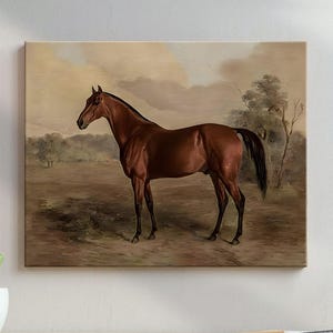 Vintage Brown Horse Canvas Art: Equestrian Farmhouse Decor