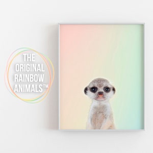 Baby Meerkat Print, Cute Suricat Printable Meerkat Cub, Timon lion king art Gift, Colorful Nursery decor, ORIGINAL Rainbow Animals