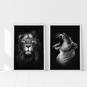 Black and White Lions Couple set print, Safari Animal Set of 2 Posters, Lioness Print, African lion Art, Nursery Print, Safari Bedroom Decor