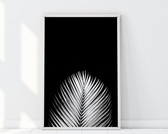 Ritratto di palma bianca, stampa di palma, arredamento tropicale, arte murale botanica, poster d'arte tropicale minimalista, fotografia in bianco e nero, atmosfera estiva