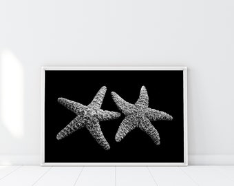 Sea Stars Print, Starfish Poster, Mermaid decor, Coastal Decor, Bathroom Wall art, Starfishes couple print, Nature Black & White Beach decor