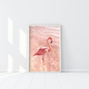 Estampado de flamenco rosa, arte de pared de flamenco rosa rubor tropical, cartel de vibraciones de verano, arte de flamenco rosa pastel, pájaro rosa ombre, tonos de rosa