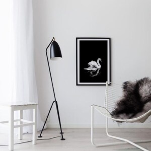Impresión de cisne blanco, cartel minimalista de cisne, fotografía de cisne blanco y negro, arte de pared de reflejo de espejo, decoración escandinava, pájaro blanco elegante imagen 2