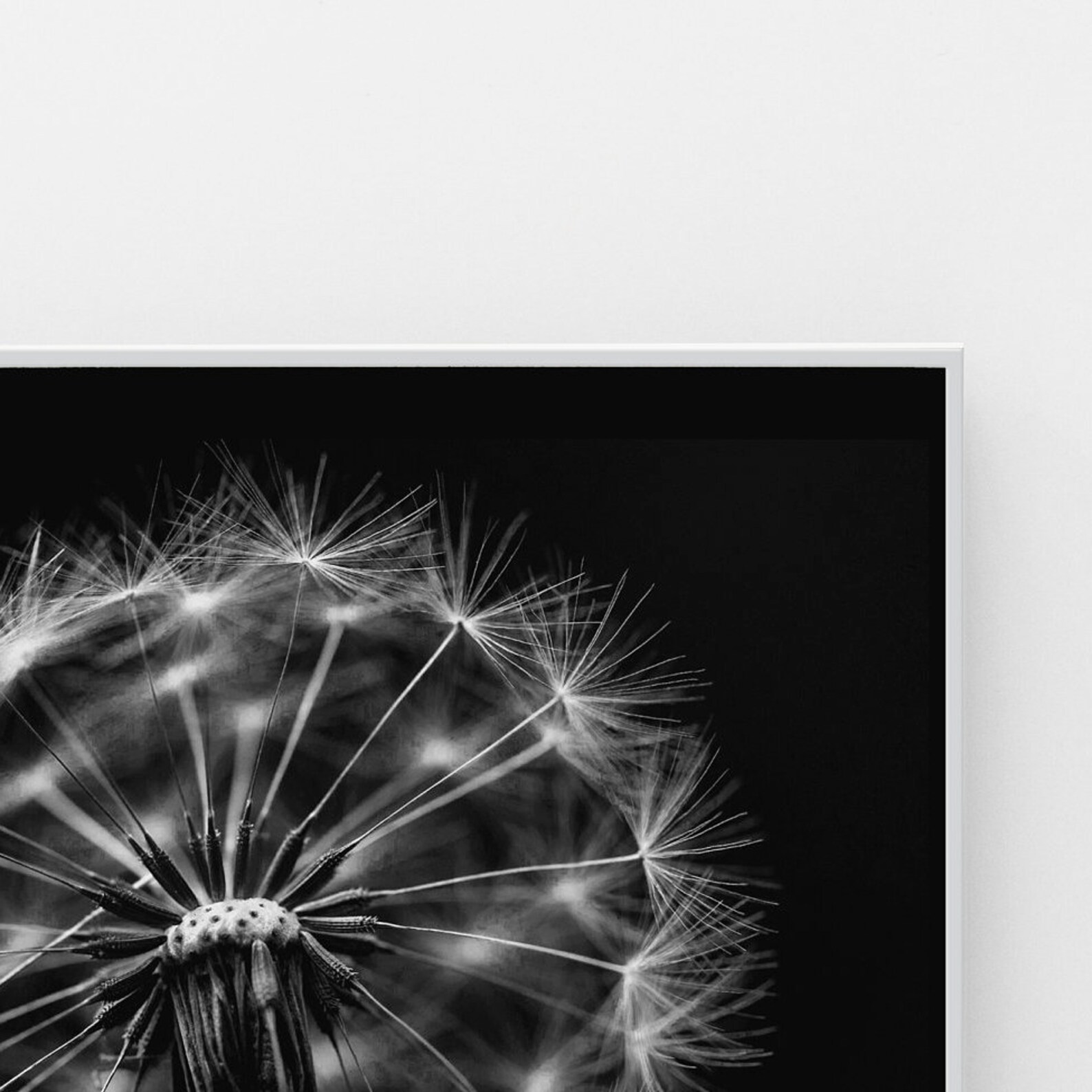 Dandelion Print Wish Flower Poster Poetic Wall Art Fluffy Etsy