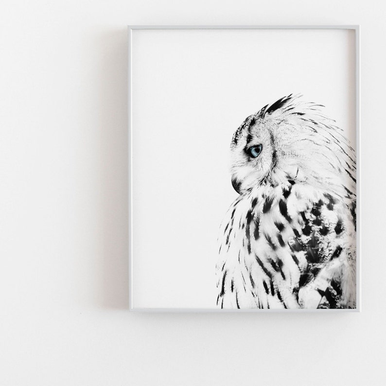 White Owl Print Minimalist Owl Poster Black and White Owl Etsy