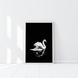 White Swan Print, Minimalist Swan Poster, Black and White Swan Photography, Mirror Reflection Wall Art, Scandinavian Decor, Chic White bird