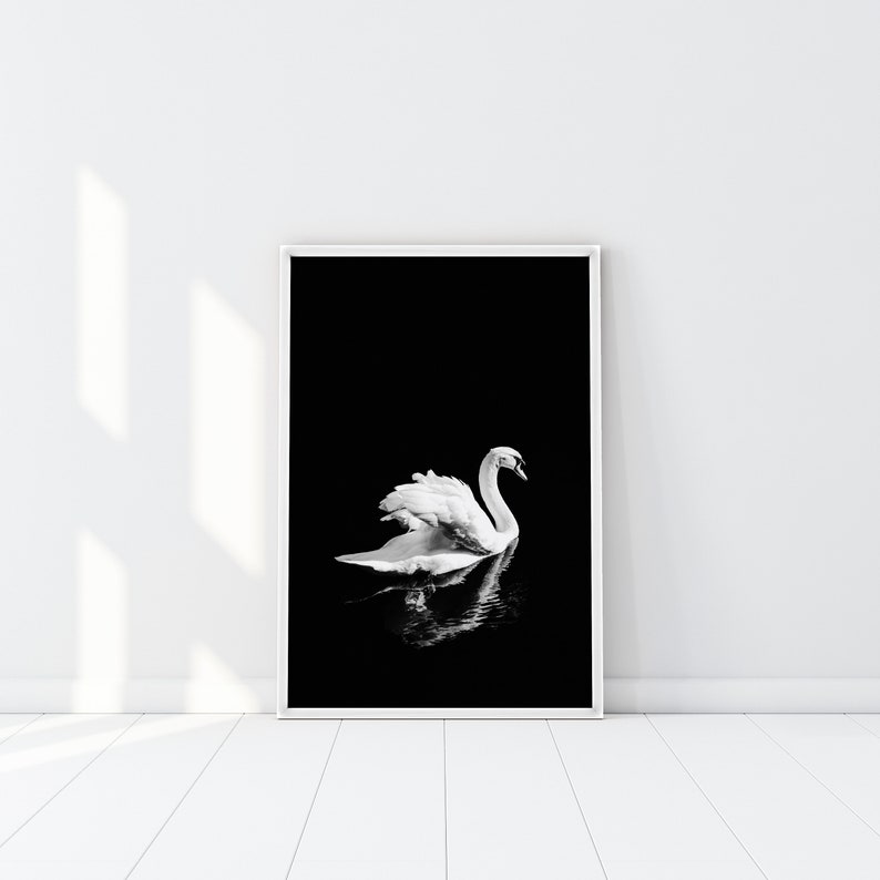 Impresión de cisne blanco, cartel minimalista de cisne, fotografía de cisne blanco y negro, arte de pared de reflejo de espejo, decoración escandinava, pájaro blanco elegante imagen 1