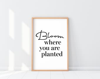 Bloom where you are planted print, Bloom quote Poster, Live in the moment Wall Art, Grounding mantra, bloom wall art, tck gift, spring decor