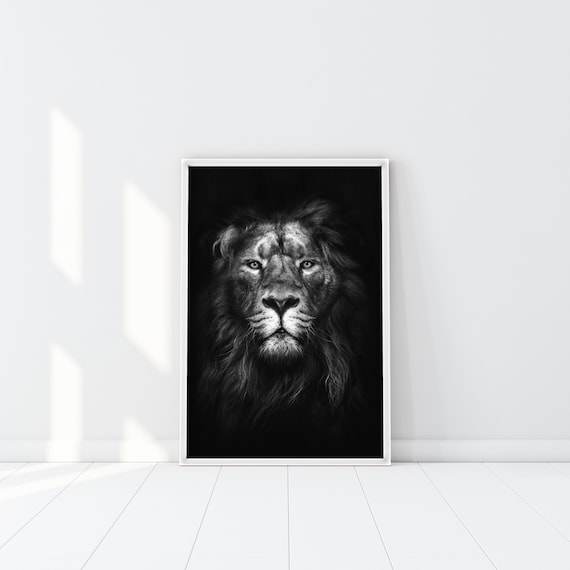 Black and White Lion print, Safari Animal Poster, wild animal Art, The Lion King of the jungle, Black & White photo, Alpha male african lion