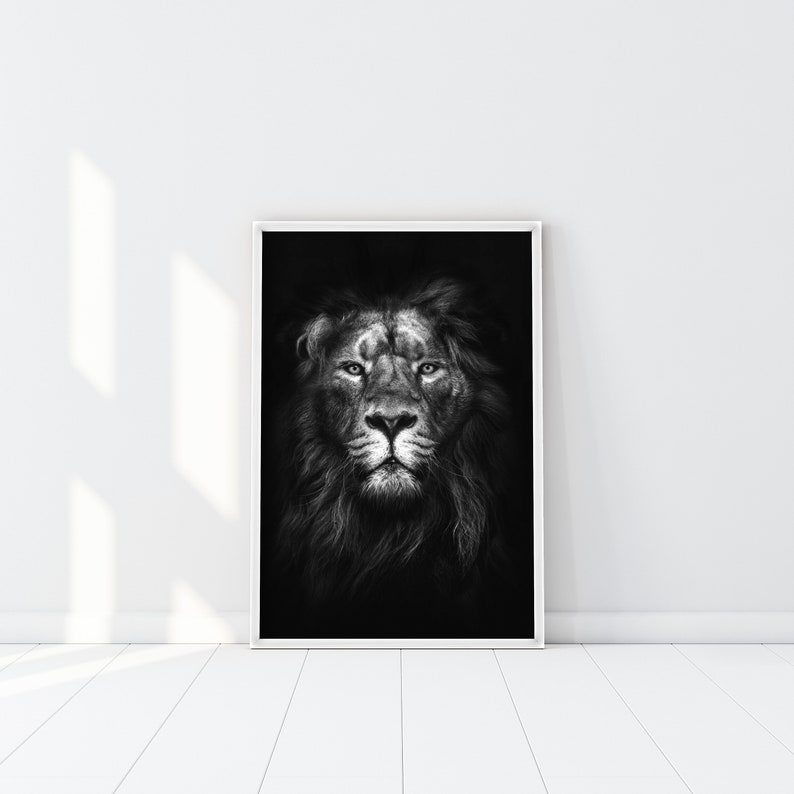 May include: Black and white photograph of a lion's face. The lion is looking directly at the camera with a serious expression. The background is black.