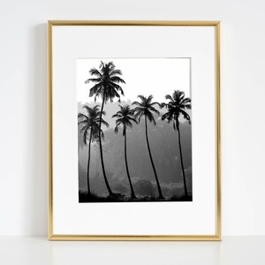 Puede incluir: Fotograf&iacute;a en blanco y negro de cinco palmeras silueteados contra un fondo brumoso. Los &aacute;rboles son altos y delgados, con frondosas hojas.