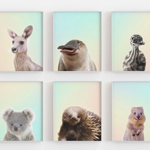 Set von 6 australischen Tierbabys-Drucken, Regenbogen-Aussie-Cubs-Kinderzimmer-Kunst, niedliche Tiere aus Australien-Kinderzimmer-Poster, Tiere-Kollektion