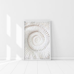 Ammonit Fossil Poster, Angst Relief Druck, Spiral Muschel Druck, friedliche Kunst, beruhigende Wand Kunst, Fossil Dekor, Fossil Druck, abstrakte Kunst