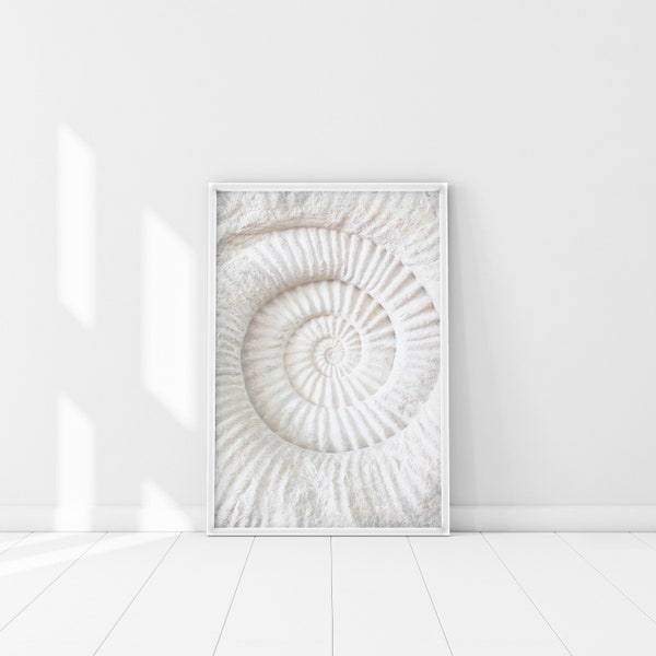 Ammonite Fossil Poster, Anxiety Relief Print, Spiral Shell Print, Peaceful Art, Calming Wall Art, Fossil Decor, Fossil Print, Abstract art