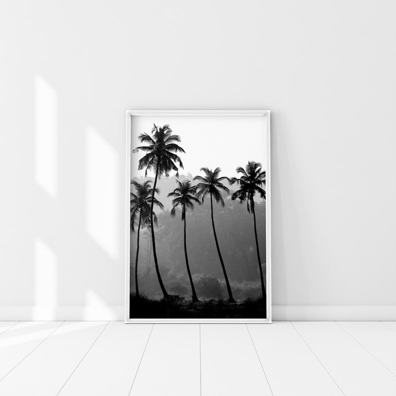 Puede incluir: Fotograf&iacute;a en blanco y negro de palmeras silueteada contra un cielo brumoso. La imagen est&aacute; enmarcada en un marco blanco.
